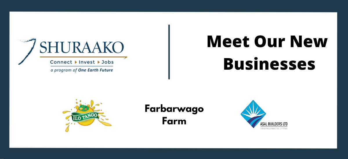Post Profile New Shuraako Impact Investments Support Youth, Foster Renewable Energy image of Final Blog Edit Post